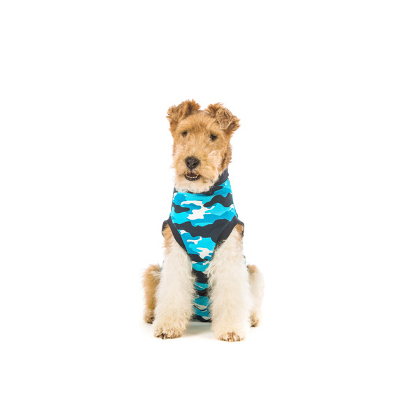 RevoverySuit_Dog_Blue2_Suitical-600x600